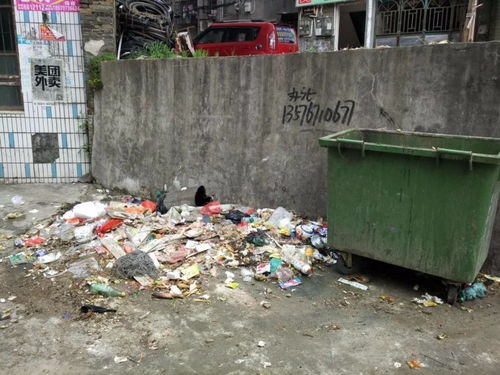 宁都城区垃圾乱倒,未及时清扫还是市民素质问题